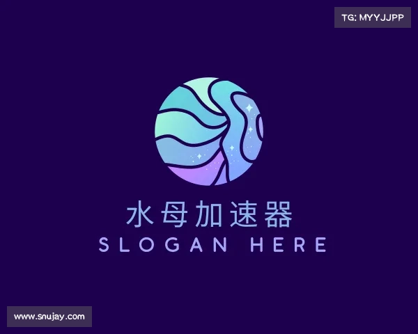 解读水母加速器